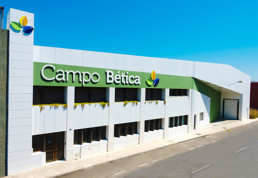 Campo Bética