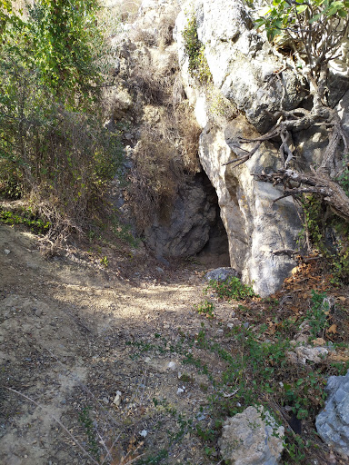Cueva de Rojas