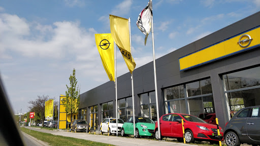 Opel & Beyschlag Favoriten