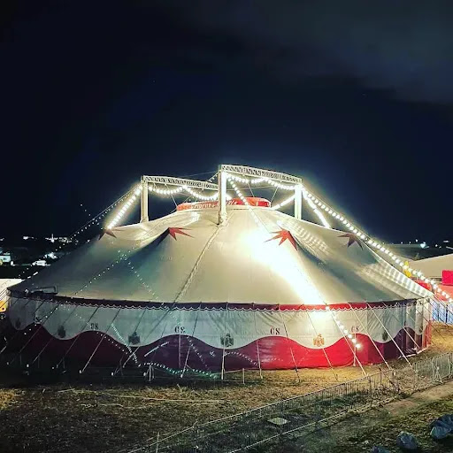 Circus Safari