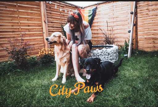 City Paws - Hundetraining