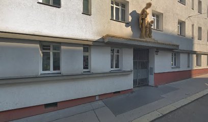 Austrian Jiu Jitsu Institute