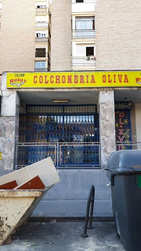 Colchoneria Oliva