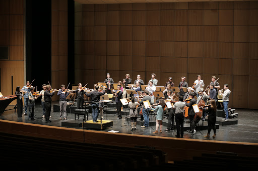 Orquestra de Câmara Portuguesa (OCP)