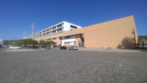 Faculdade de Medicina Veterinária da Universidade de Lisboa (FMV)