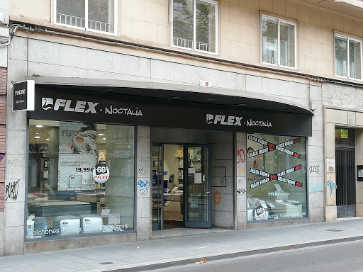 Flex Noctalia Zaragoza