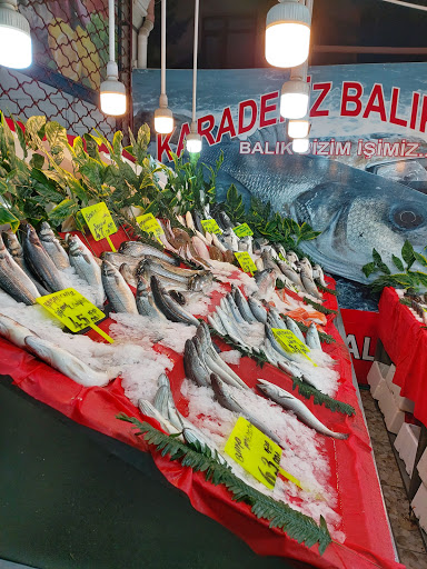 Karadeniz Balıkçılık