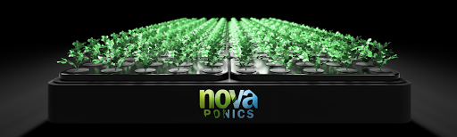 Novaponics Tarım Teknolojileri