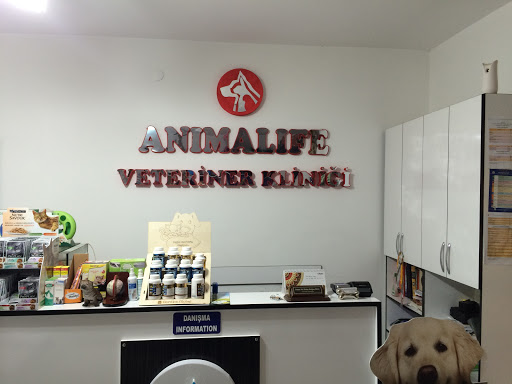 Animalife Veteriner Kliniği