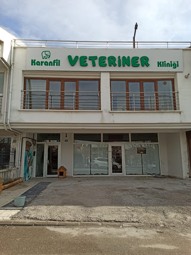 Karanfil Vet - Ankara Veteriner Kliniği