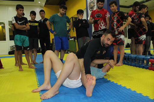 Ankara MMA Kursu