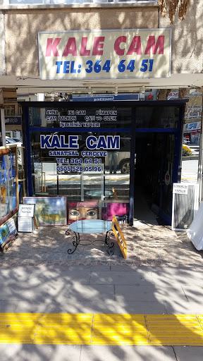 Kale Cam