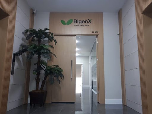 BigenX Genetik Danışmanlık