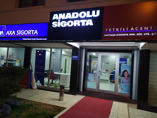 Hattuşa Sigorta - Anadolu Sigorta- Axa Sigorta