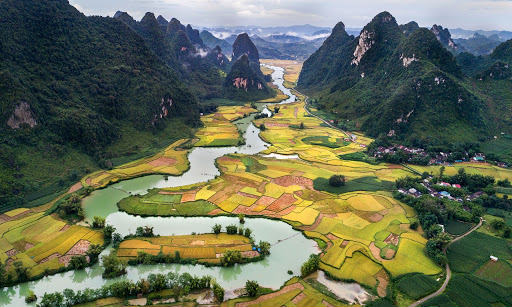Vietnam Vizesi