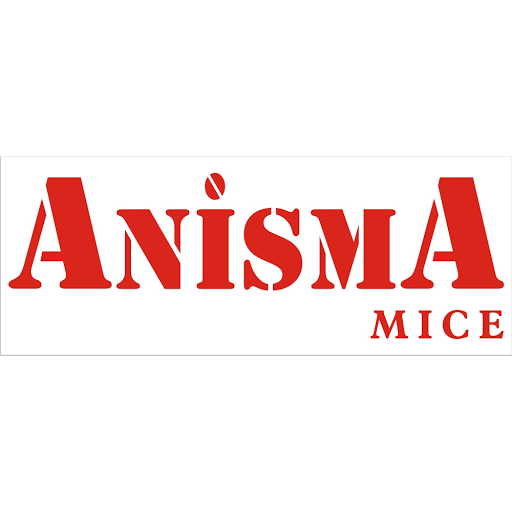 Anisma Mice