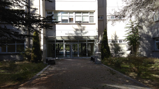 Hacettepe Üniversitesi Matematik Bölümü