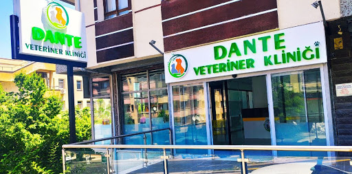 Dante Veteriner Kliniği