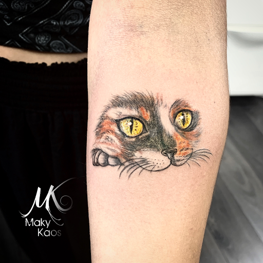 Byakko Tattoo Studio - Tatuajes, Micropigmentación y Piercing