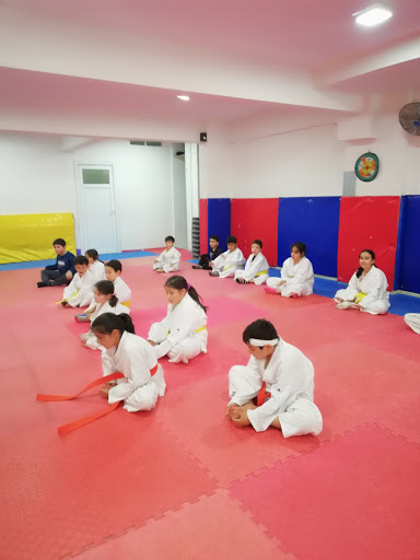 Antalya Karate (AKİK)