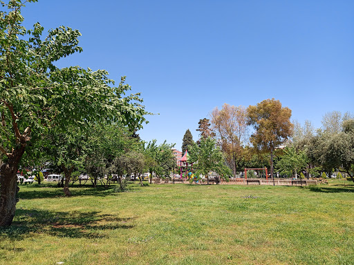 Tarık Akan Parkı