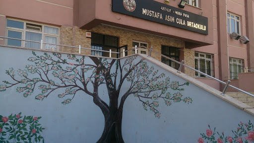 Mustafa Asım Cula Ortaokulu