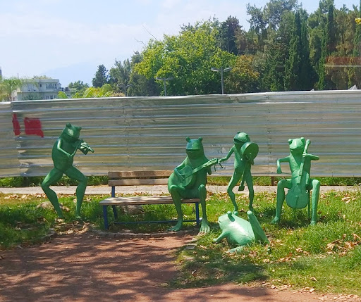 Frog's band