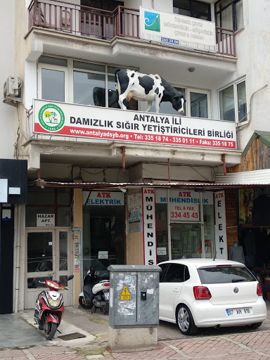 Antalya İli Damızlık Sığır Yetiştiricileri Birliği