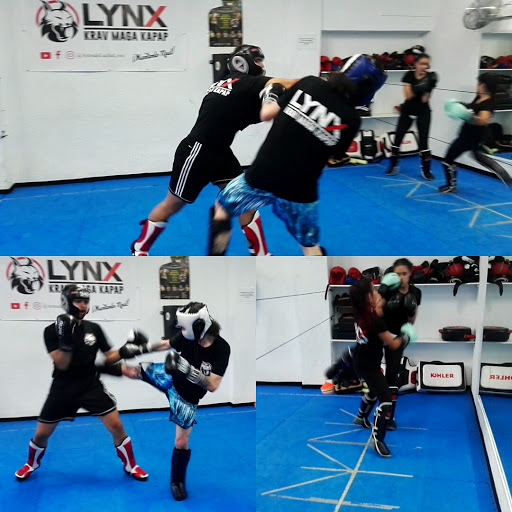 LYNX KRAV MAGA - Defensa Personal - Artes Marciales - Deportes de Contacto - Policial - Femenina - Grappling