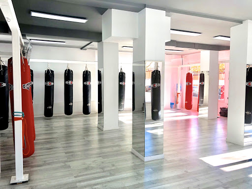 Gimnasio de Boxeo - Briales Boxing Club Madrid