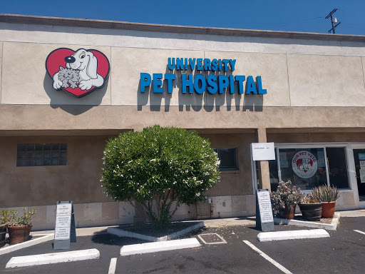Our Pet Vets - University Pet Hospital