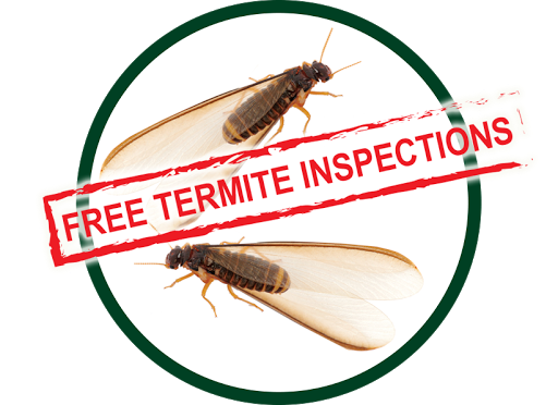 Kilter Termite and Pest Control - San Diego
