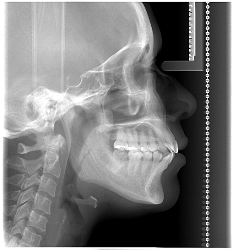 i-IMAGE Diagnostico de Imagen Dental