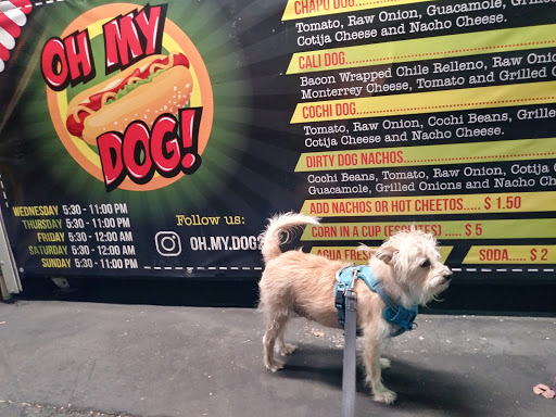 Hotdogs Oh my dog 🌭