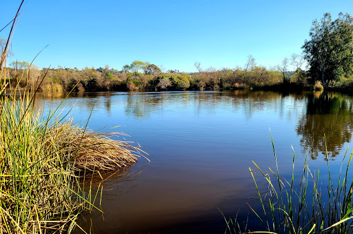 Morrison Pond