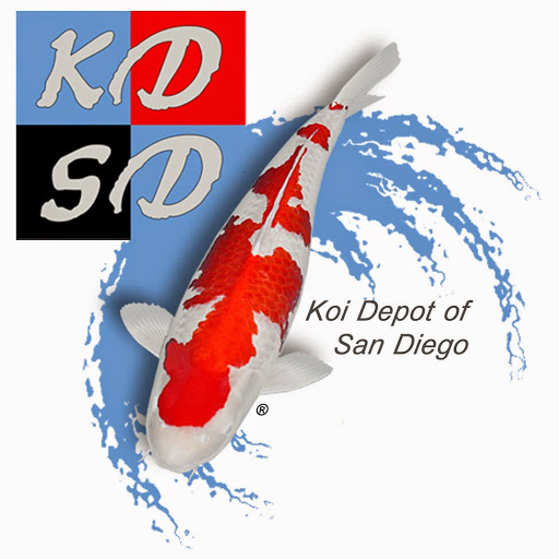 Koi Depot of San Diego
