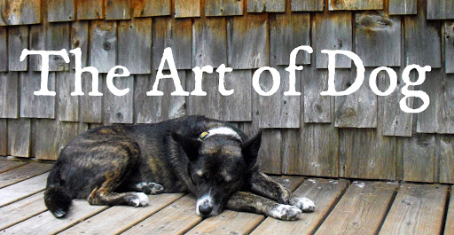 The Art of Dog