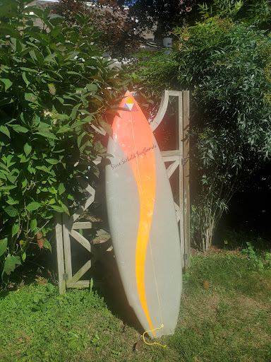 Steve Seebold Surfboards
