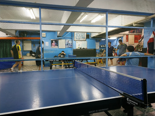 媽媽桌球俱樂部 MaMa Pingpong 乒乓球教學練習 卓球Table tennisピンポン