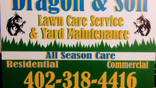 Dragon & Son Lawn Care Services & yard maintenance & D&S Snow Removal services.