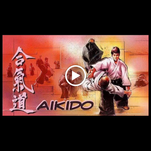 Aikido - AiDo Sant Boi de Llobregat