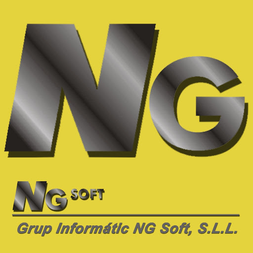 Grup Informàtic Ng Soft SL