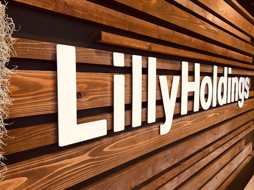 株式会社LillyHoldings