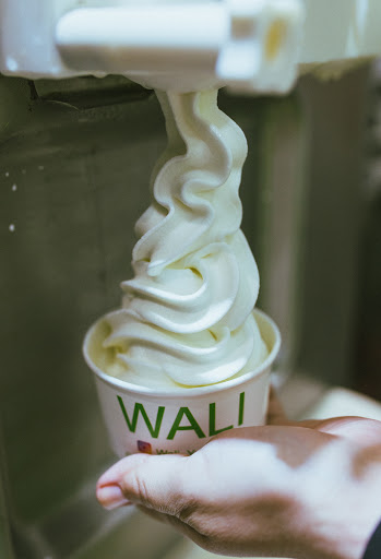 Wali gelats and yogurt