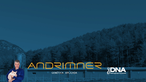 Andrimner - Genética Porcina