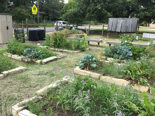 Lively Middle School Garden