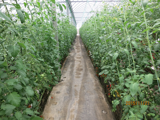 農夫樂購物平台-有機肥料、土壤養份檢測、技術書刊等