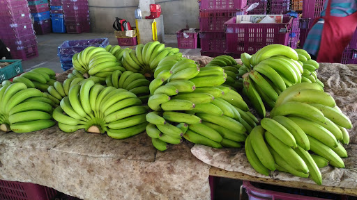 黃竹坑香蕉集貨場