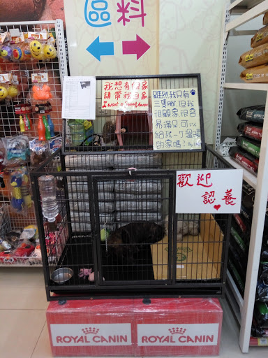 貓狗大棧-台中豐原店