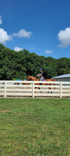 Lenux Stables & Riding Academy